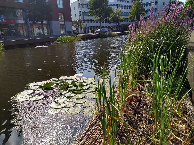 Meer Biodiversiteit in uw Gemeente